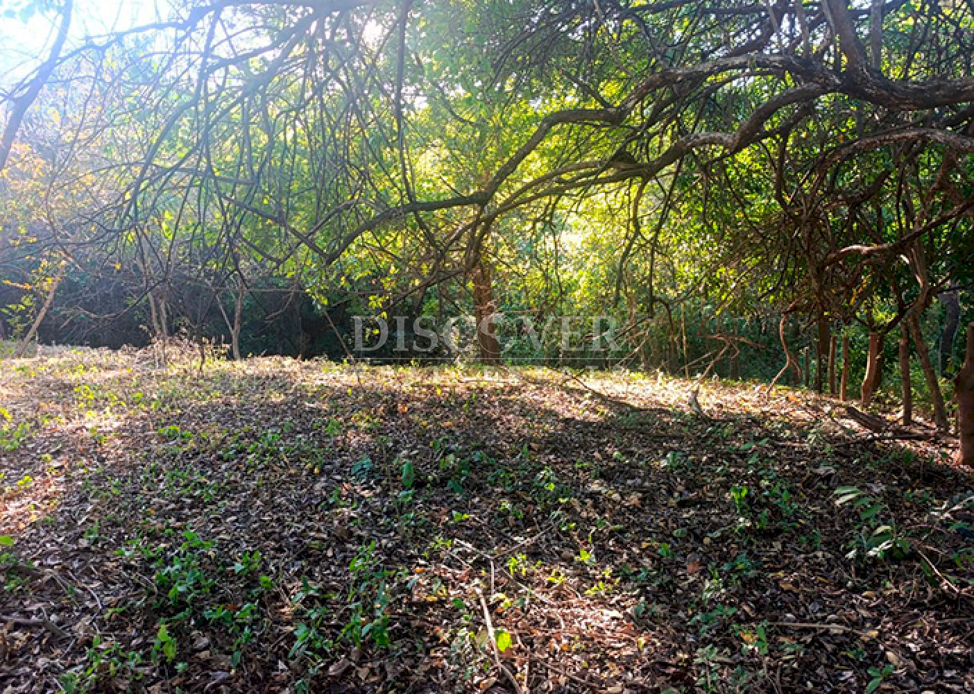 Land for sale on Carretera Vieja to León