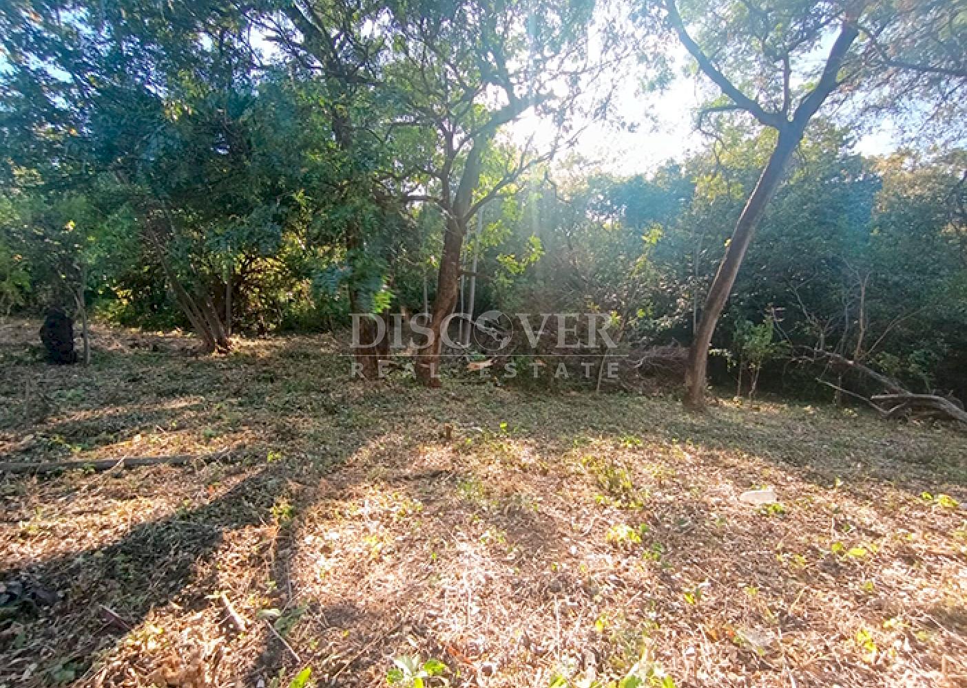 Land for sale on Carretera Vieja to León