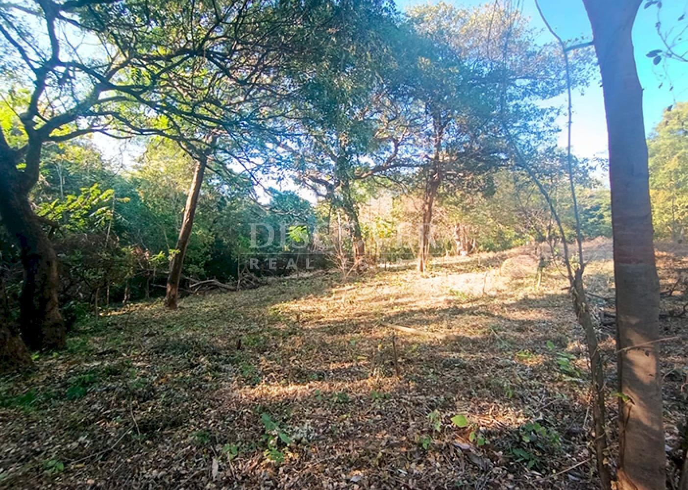 Land for sale on Carretera Vieja to León
