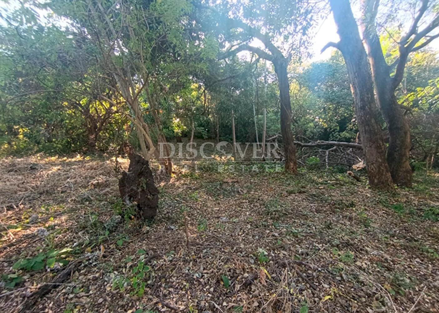 Land for sale on Carretera Vieja to León