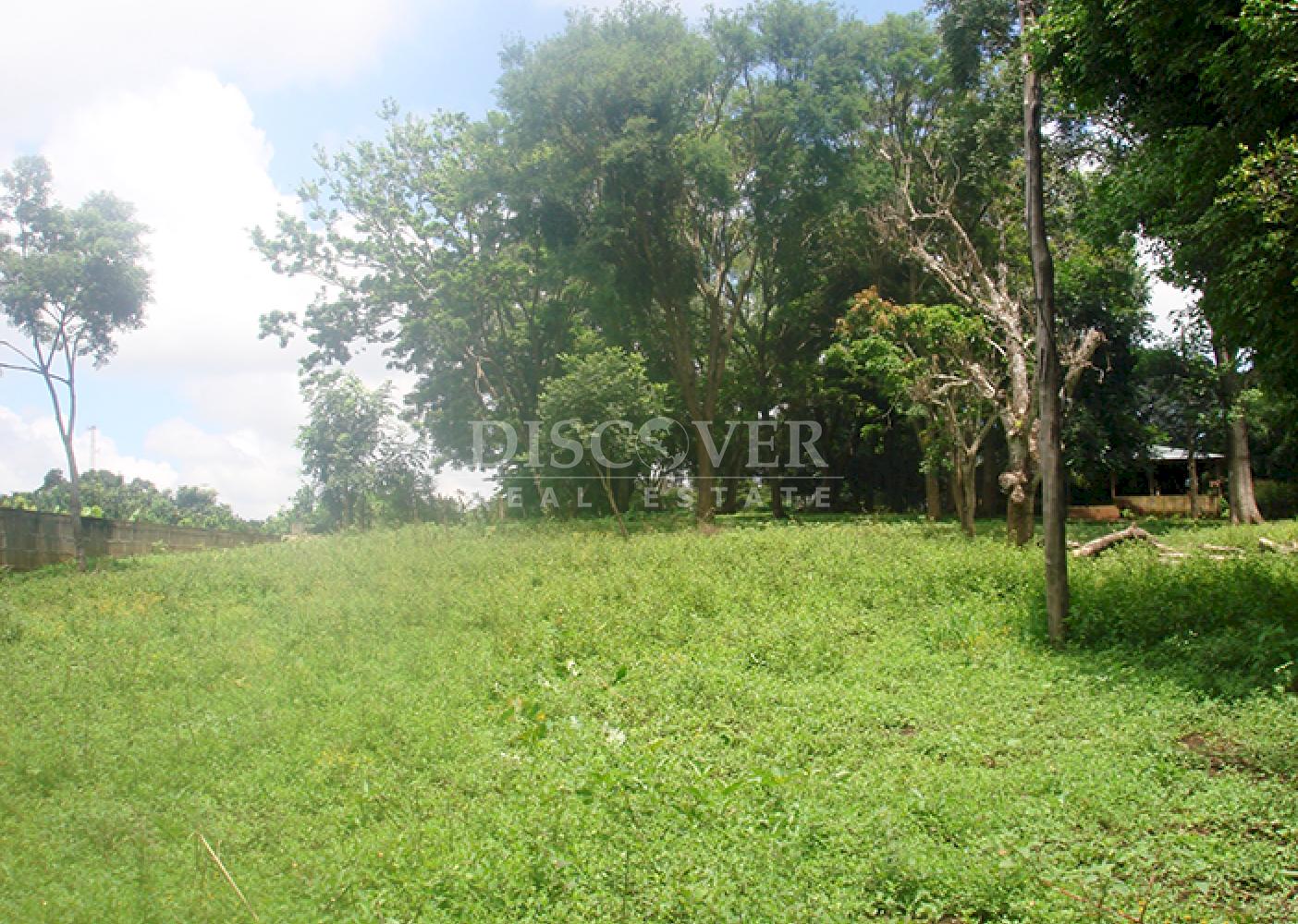 Flat land for sale in Jinotepe 