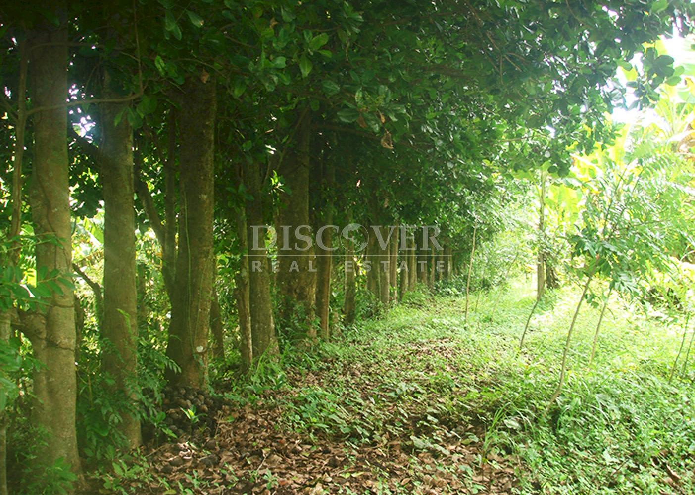 Flat land for sale in Jinotepe 