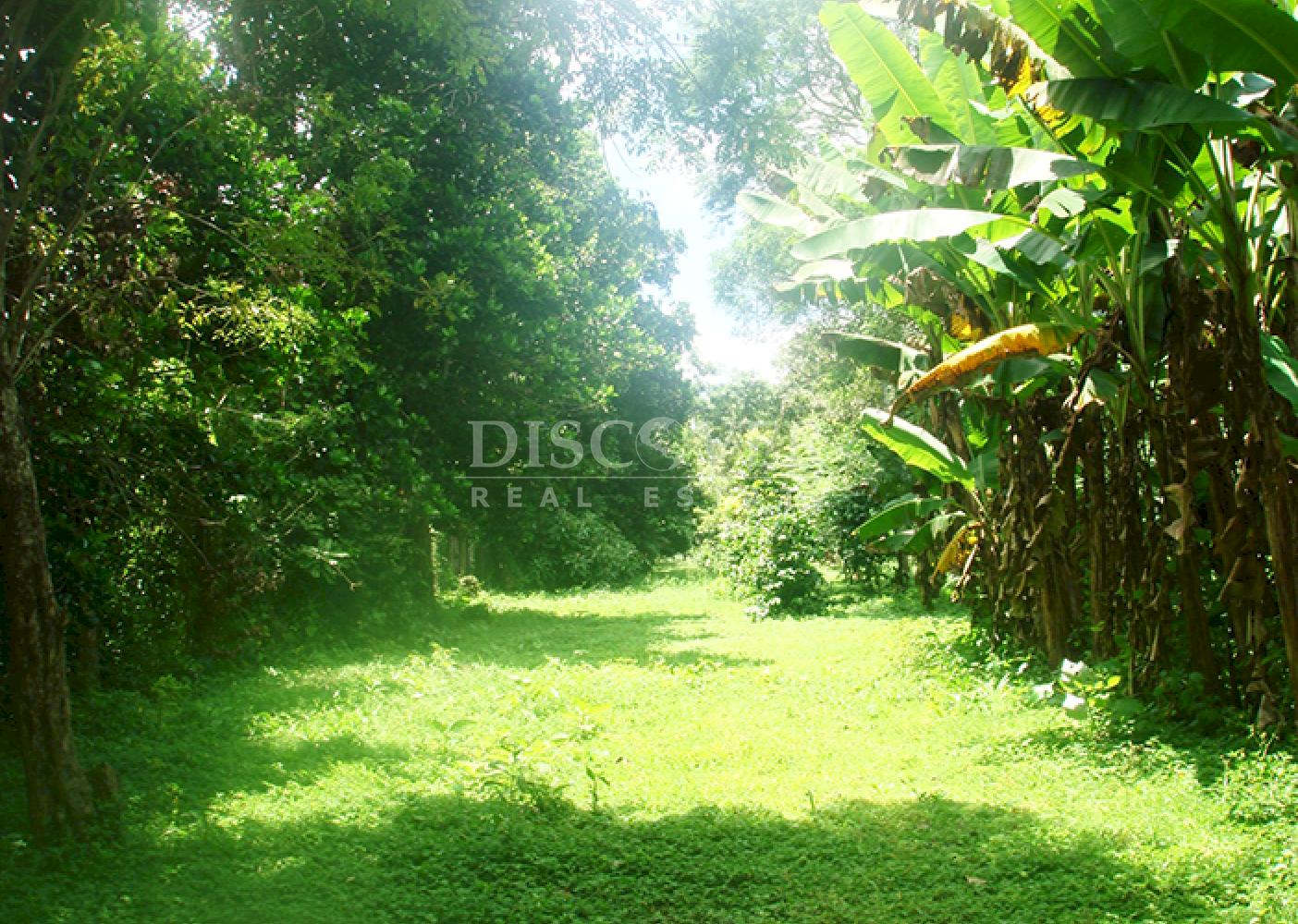 Flat land for sale in Jinotepe 