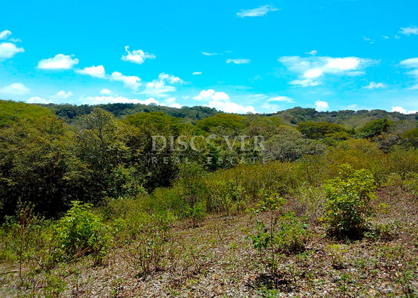 Land for sale, ideal for a farm or country home - Old Road to León