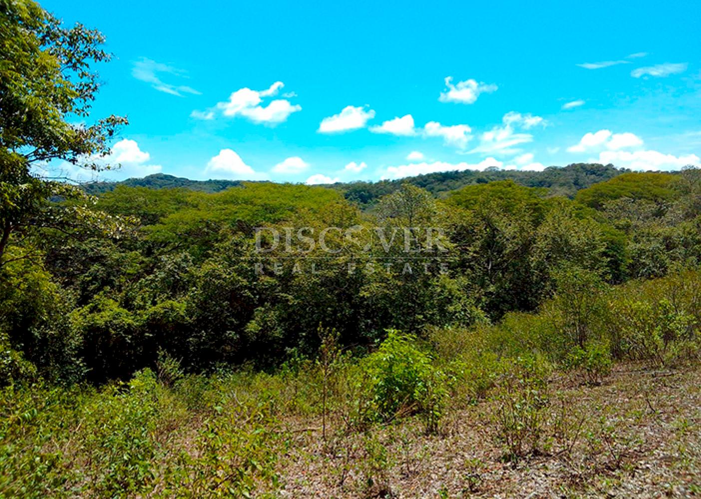 Land for sale, ideal for a farm or country home - Old Road to León