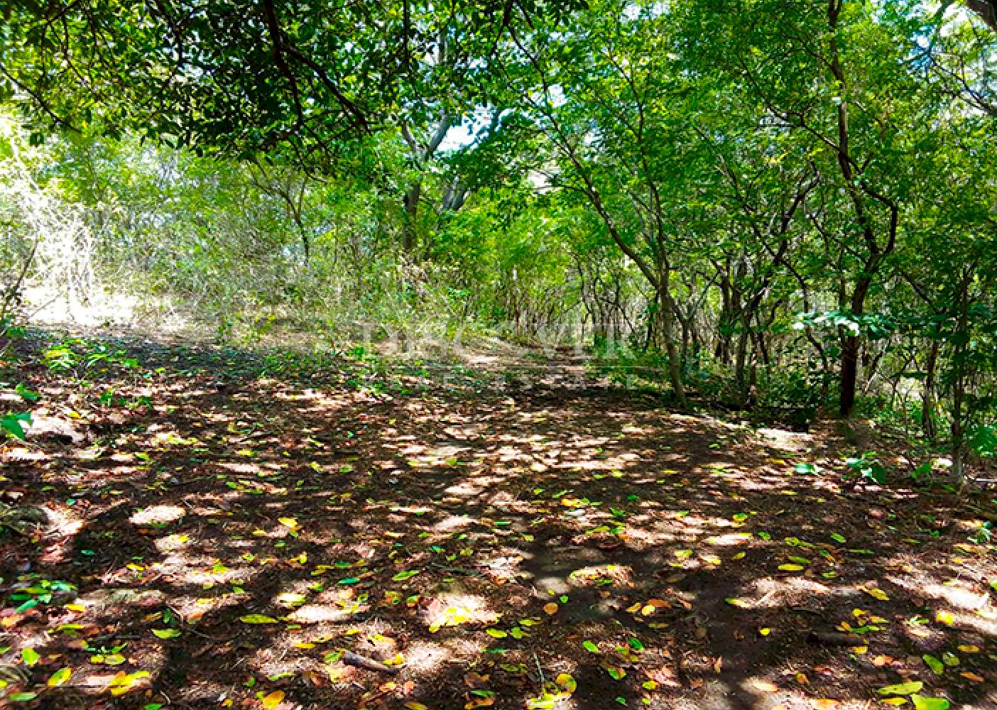Land for sale, ideal for a farm or country home - Old Road to León