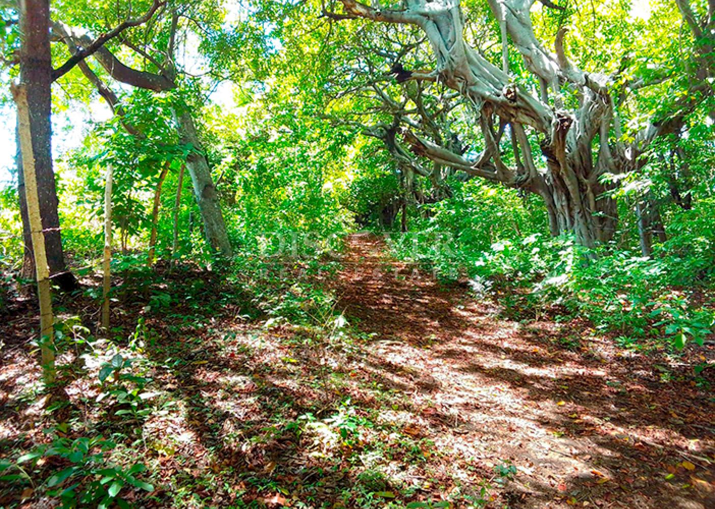 Land for sale, ideal for a farm or country home - Old Road to León