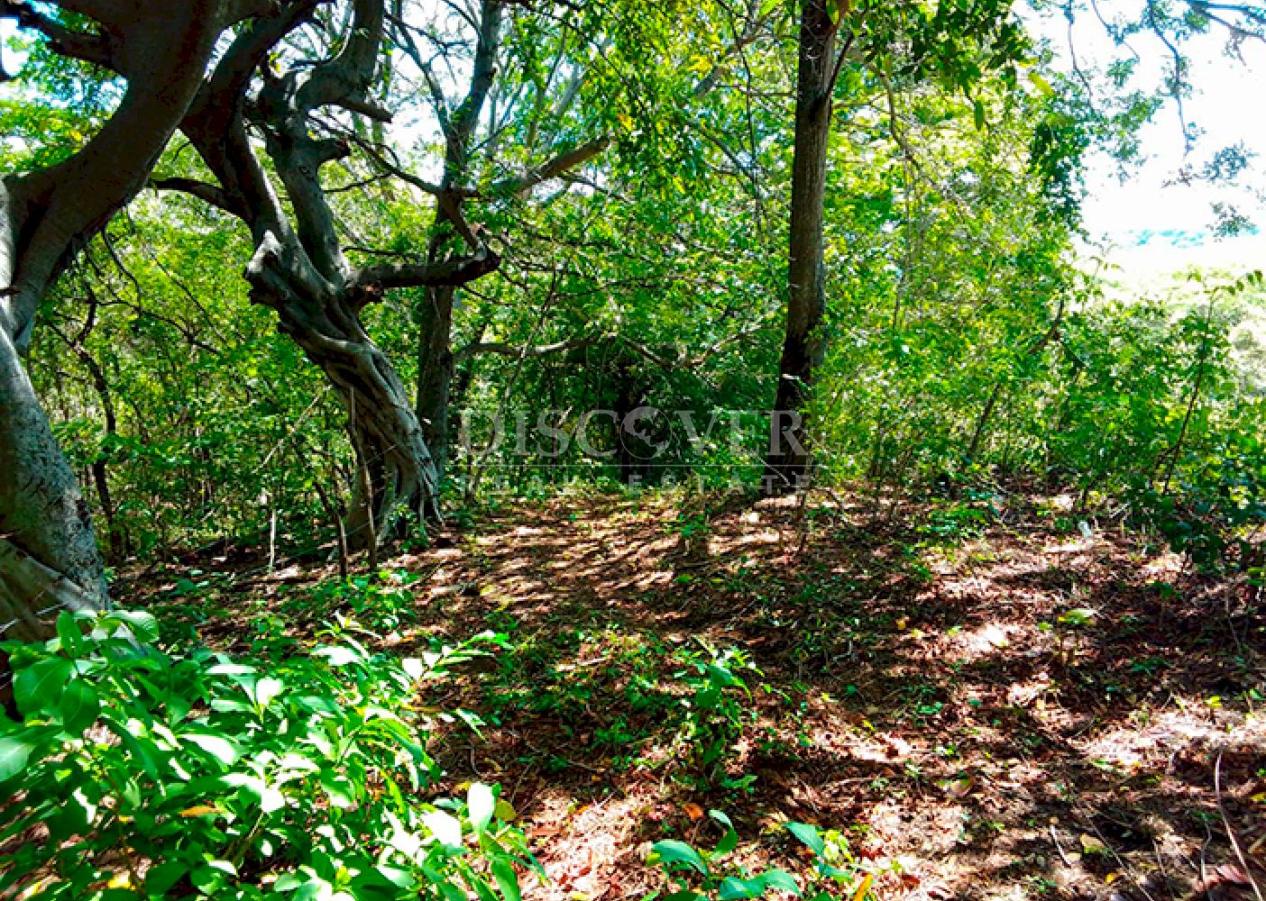 Land for sale, ideal for a farm or country home - Old Road to León