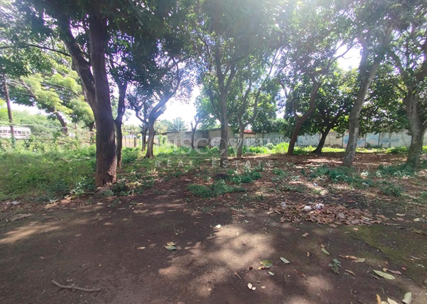 Flat land for sale in Masaya