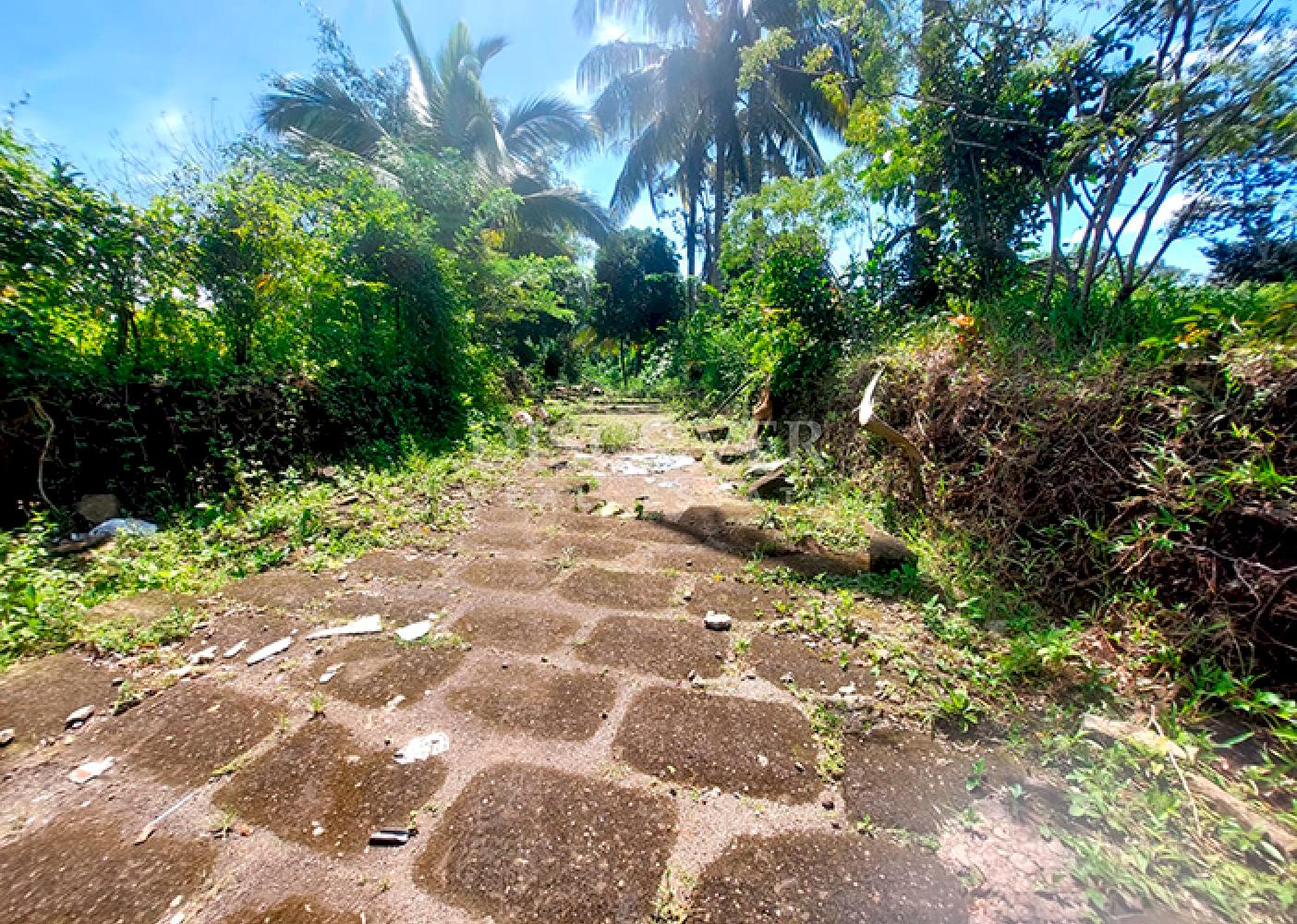  Land for sale/rent on the road to San Marcos