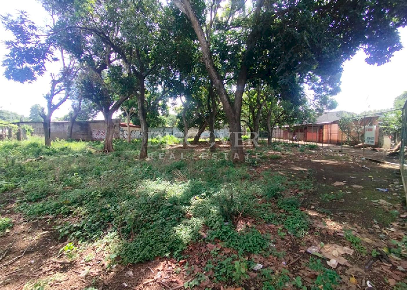 Flat land for sale in Masaya