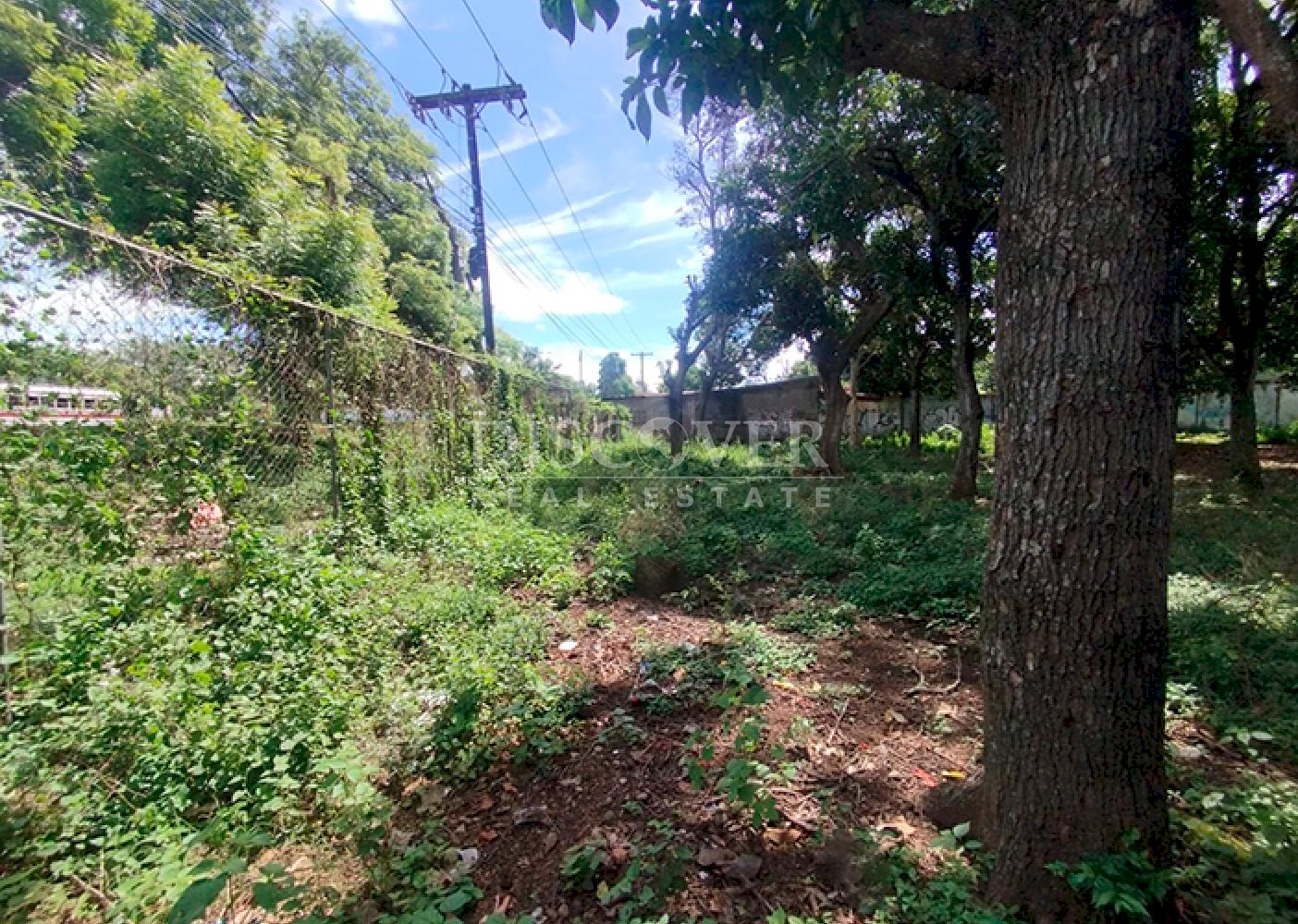 Flat land for sale in Masaya