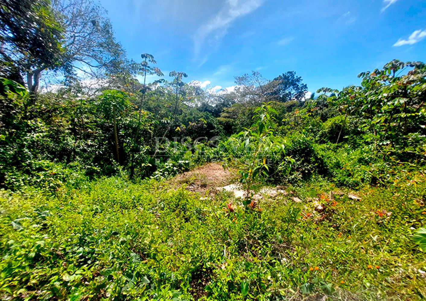  Land for sale/rent on the road to San Marcos