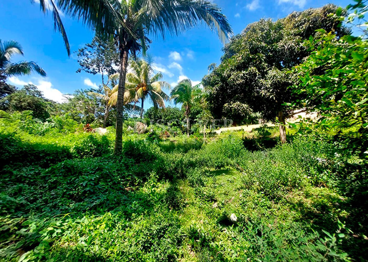  Land for sale/rent on the road to San Marcos