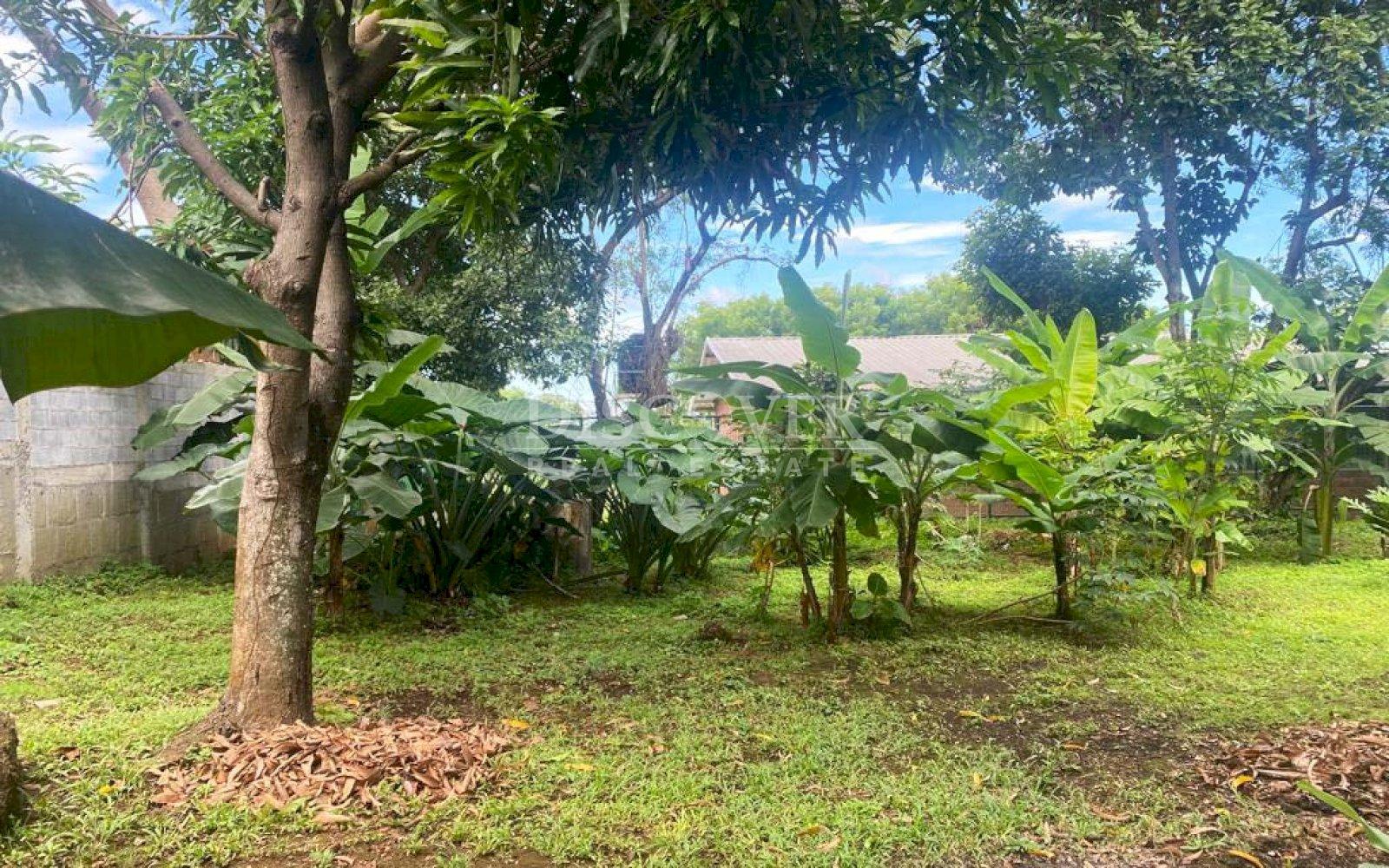  Excellent Office Spaces/Consultories for Rent in Ticuantepe 