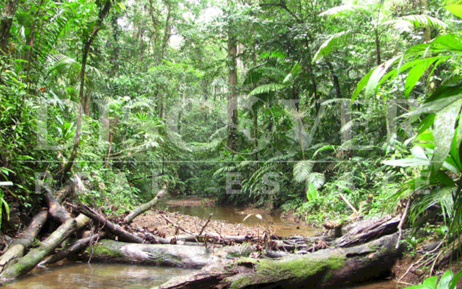 Great Property for Sale in Rio San Juan ID 8576