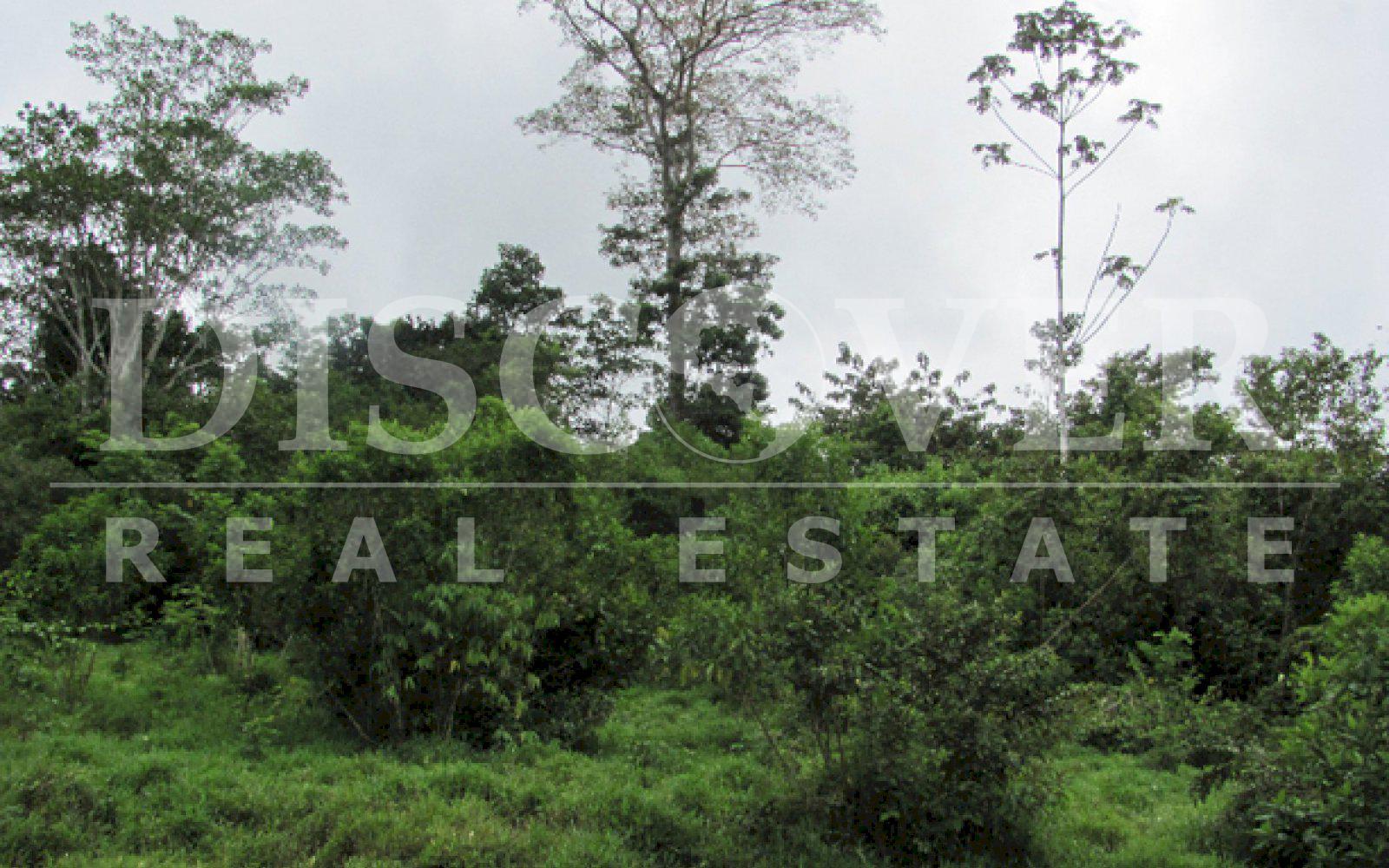 Great Property for Sale in Rio San Juan ID 8576