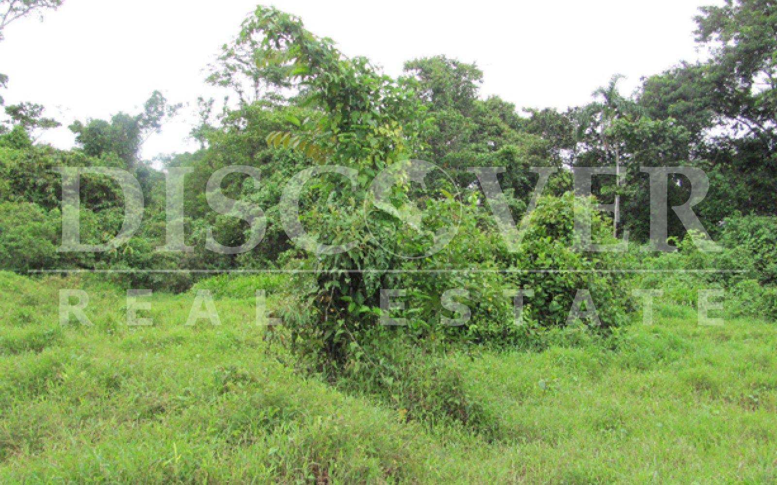 Great Property for Sale in Rio San Juan ID 8576