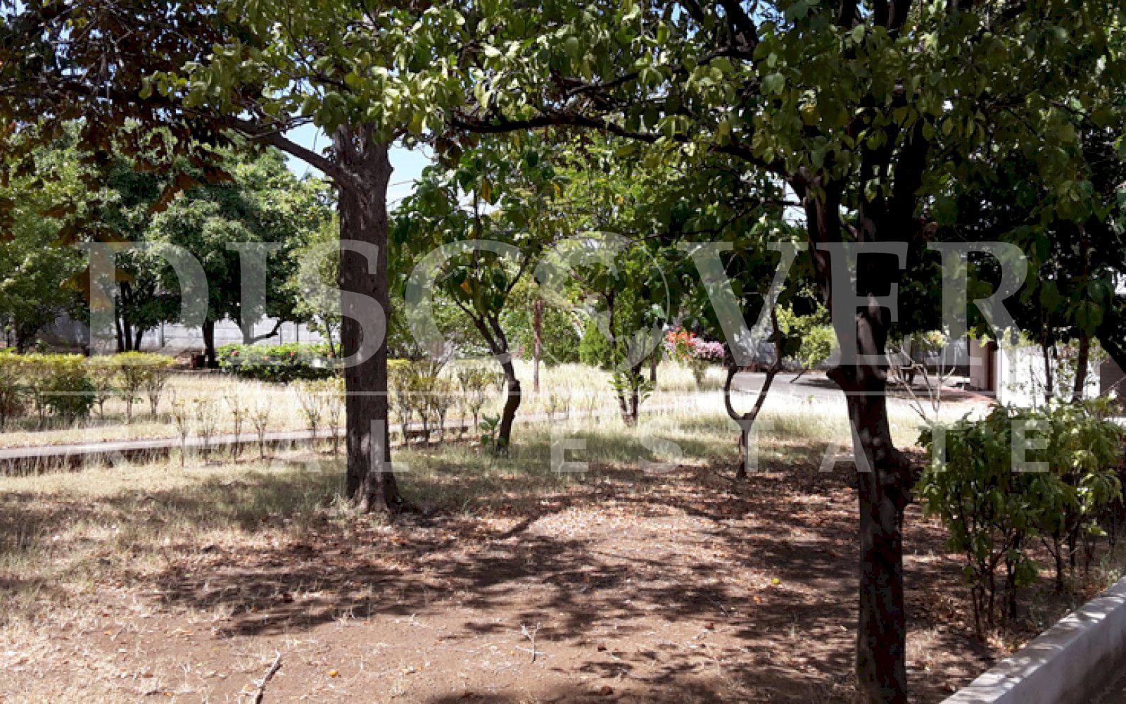 https://images.discovernica.com/propiedad/1600/ID_8667_TERRENO_EN_VENTA._MANAGUA.TERESIANO._4_.jpg
