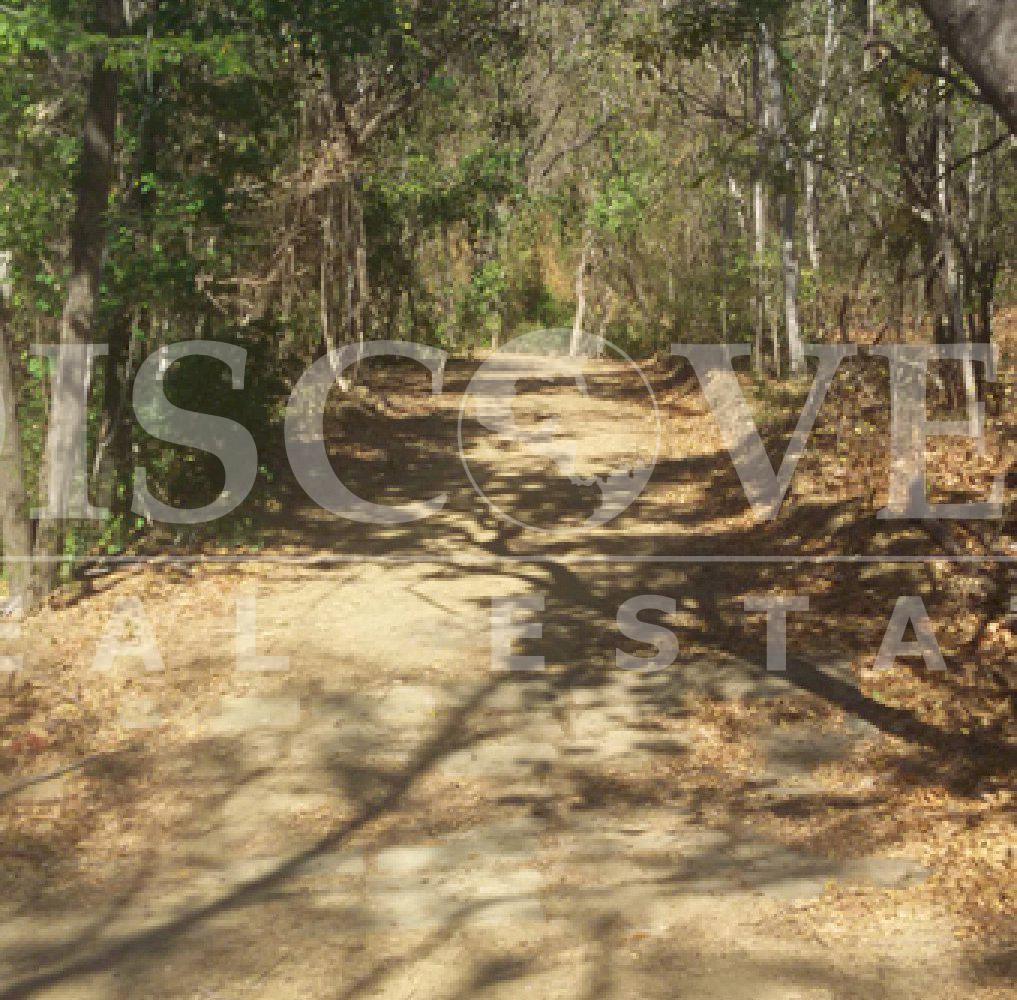 https://images.discovernica.com/propiedad/1600/ID_8671_TERRENO_EN_PLAYA.RIVAS.SANJUANDELSUR.PACIFICO.NICARAGUA_9_.jpg