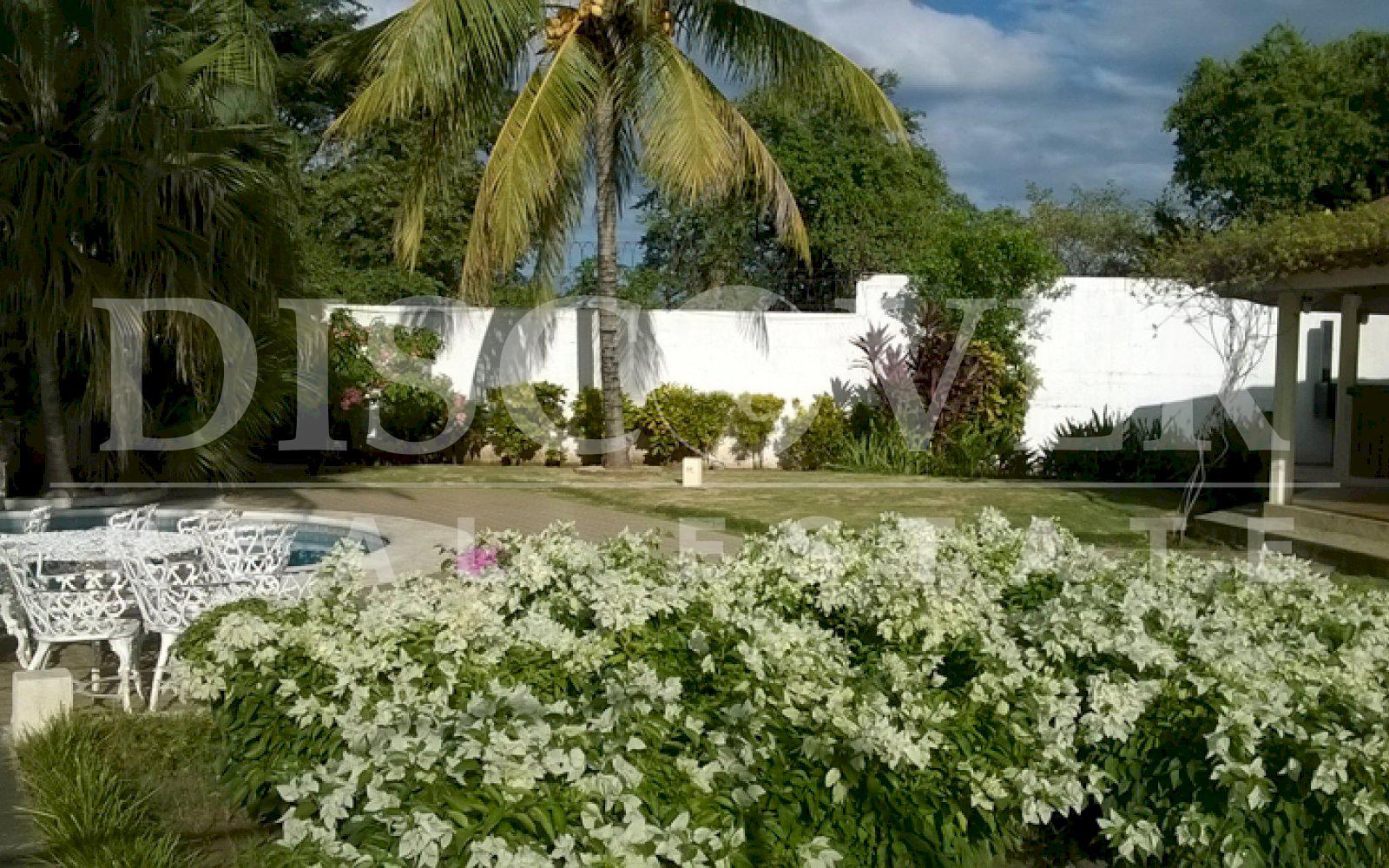 Imagen 4 de la galería