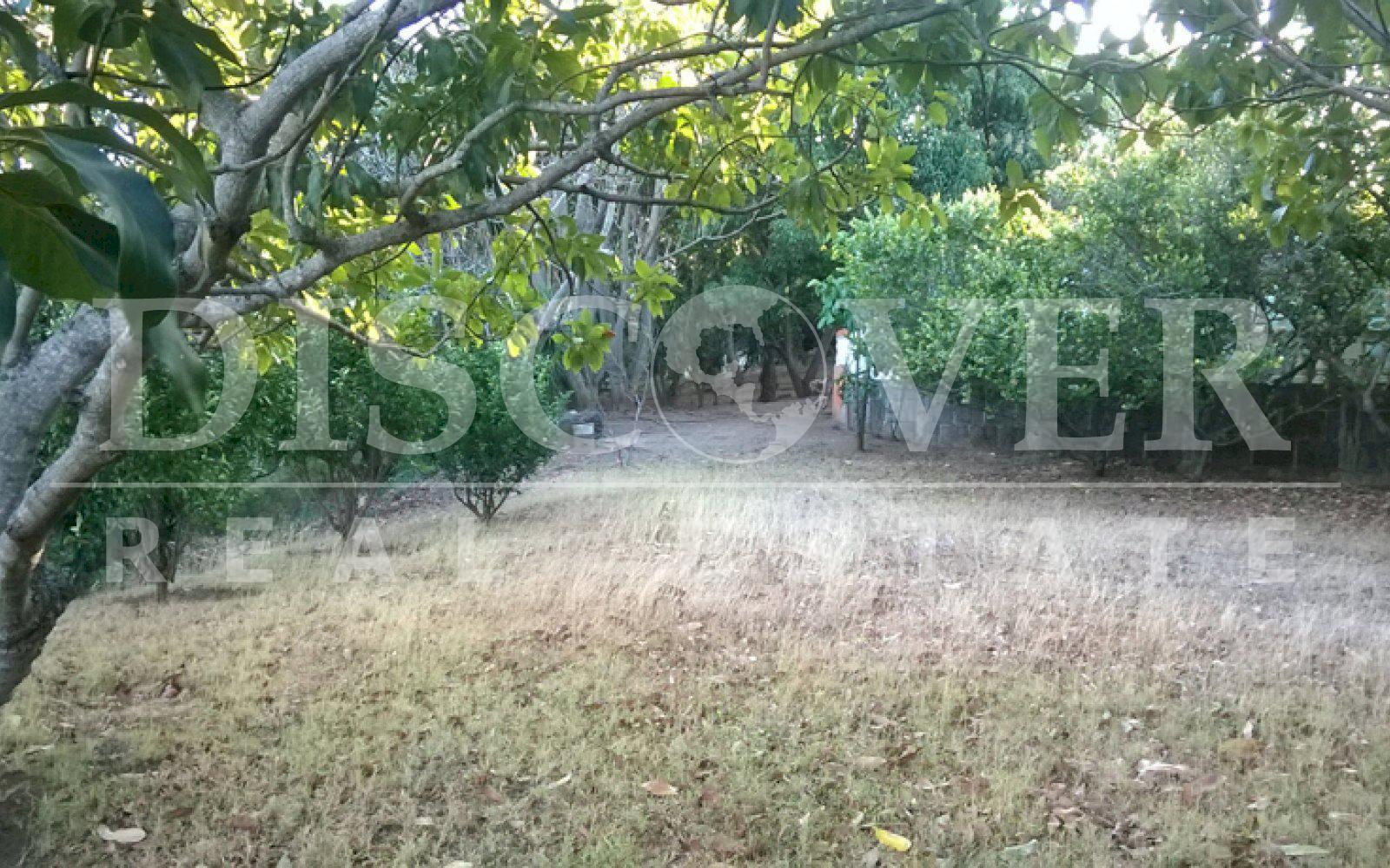 https://images.discovernica.com/propiedad/1600/ID_8811_TERRENO_EN_VENTA_INTERMEZZO_2_.jpg
