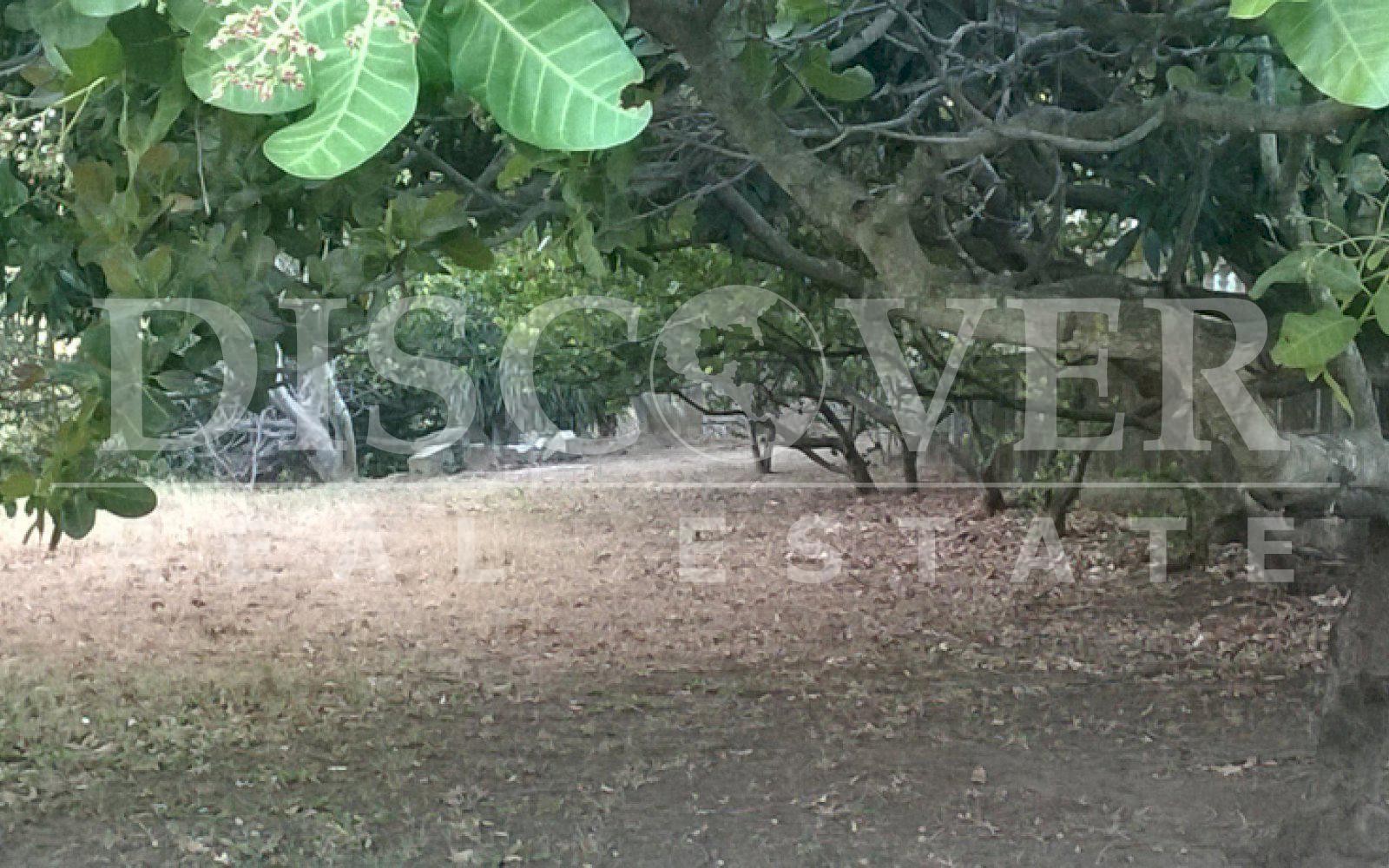 https://images.discovernica.com/propiedad/1600/ID_8811_TERRENO_EN_VENTA_INTERMEZZO_4_.jpg