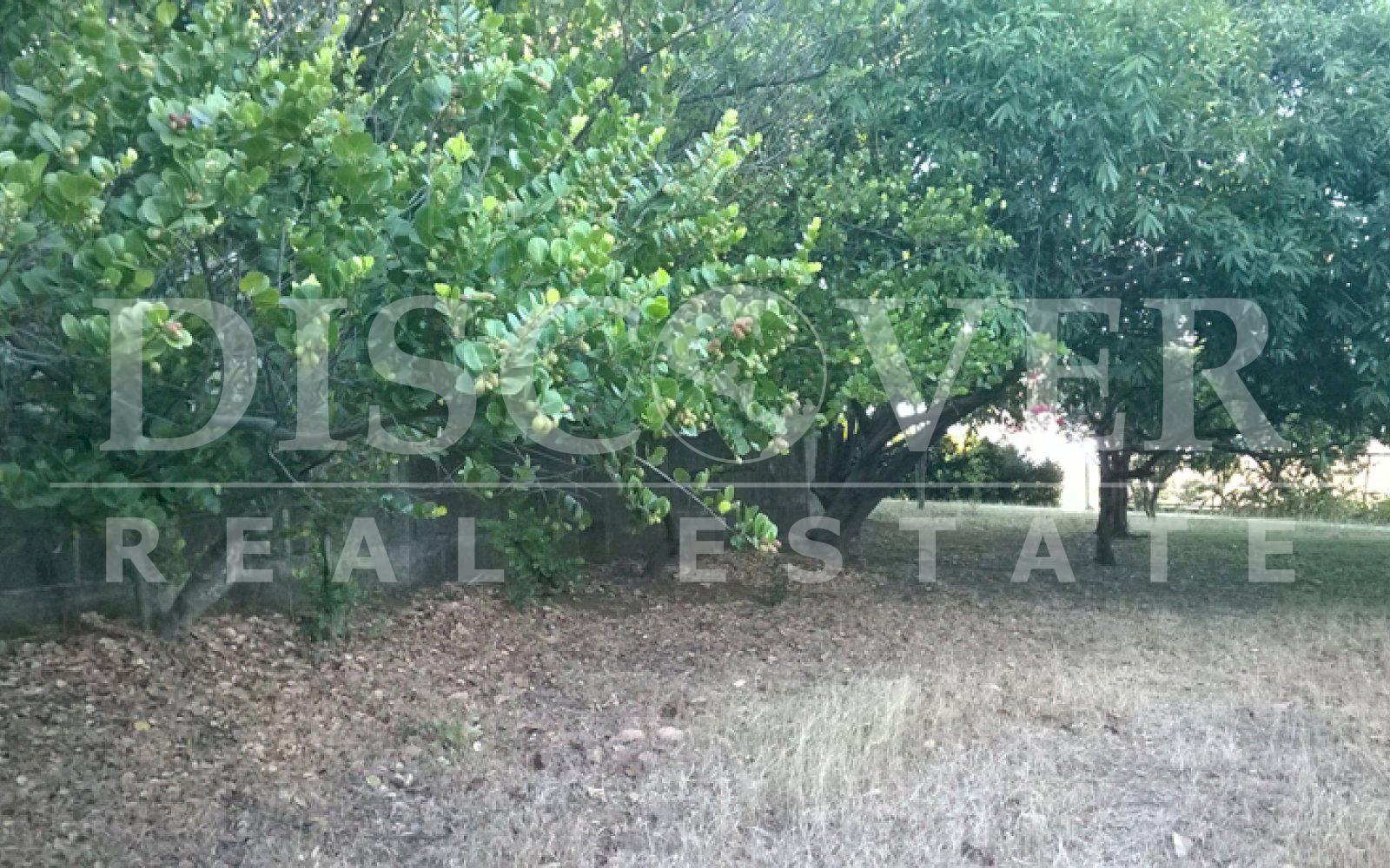 https://images.discovernica.com/propiedad/1600/ID_8811_TERRENO_EN_VENTA_INTERMEZZO_7_.jpg