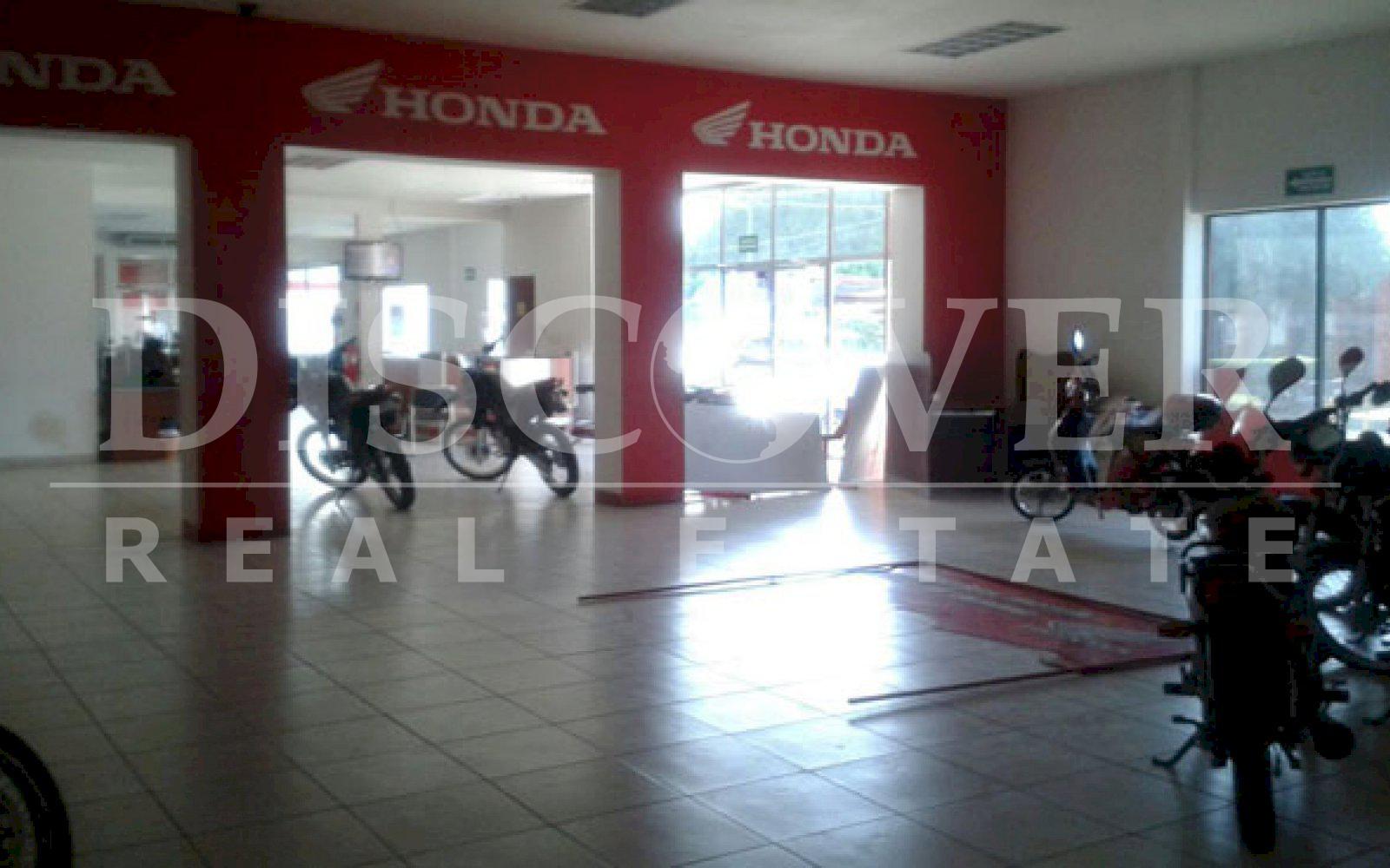 Imagen 3 de la galería