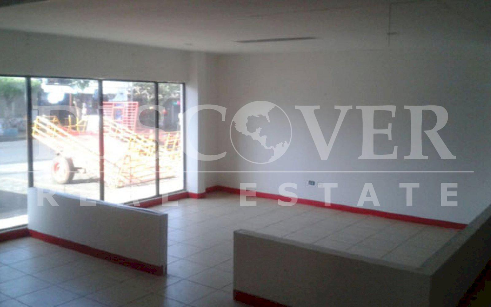 Imagen 4 de la galería