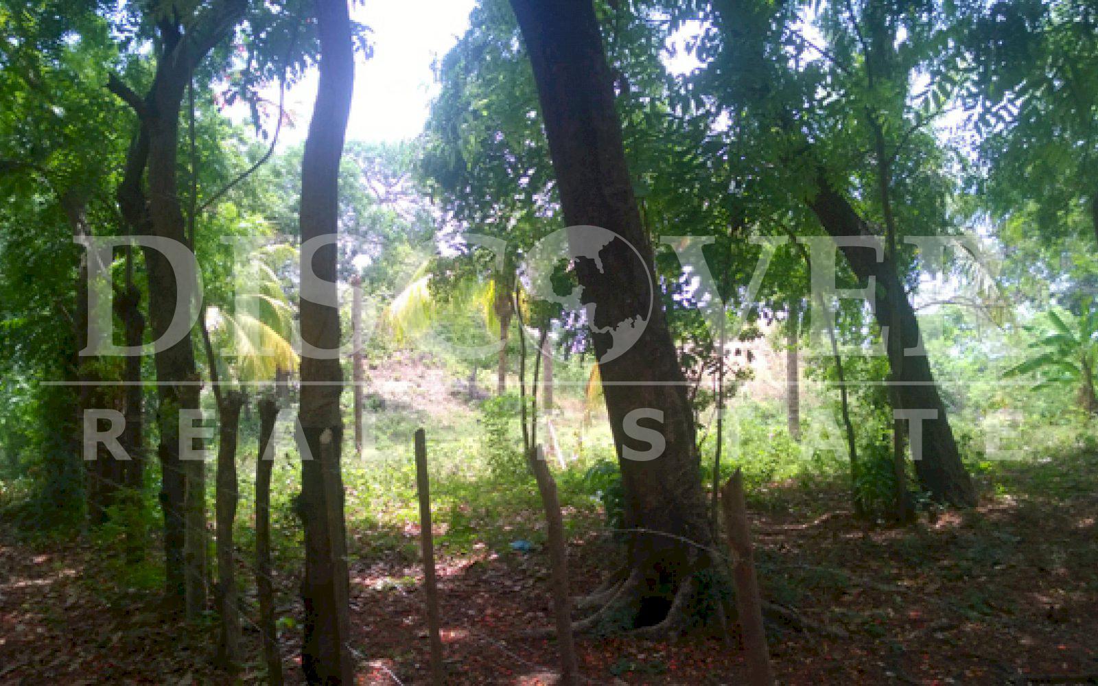 https://images.discovernica.com/propiedad/1600/ID_8996_VENTA.VENDO.TERRENO.COMPRA.COMPRO.GRANADA_1_.jpg