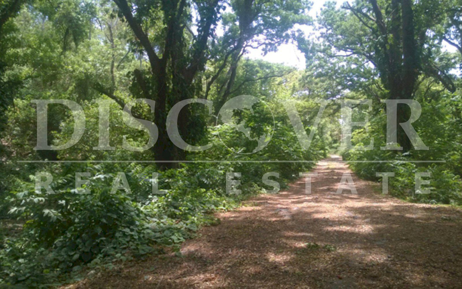 https://images.discovernica.com/propiedad/1600/ID_8996_VENTA.VENDO.TERRENO.COMPRA.COMPRO.GRANADA_2_.jpg