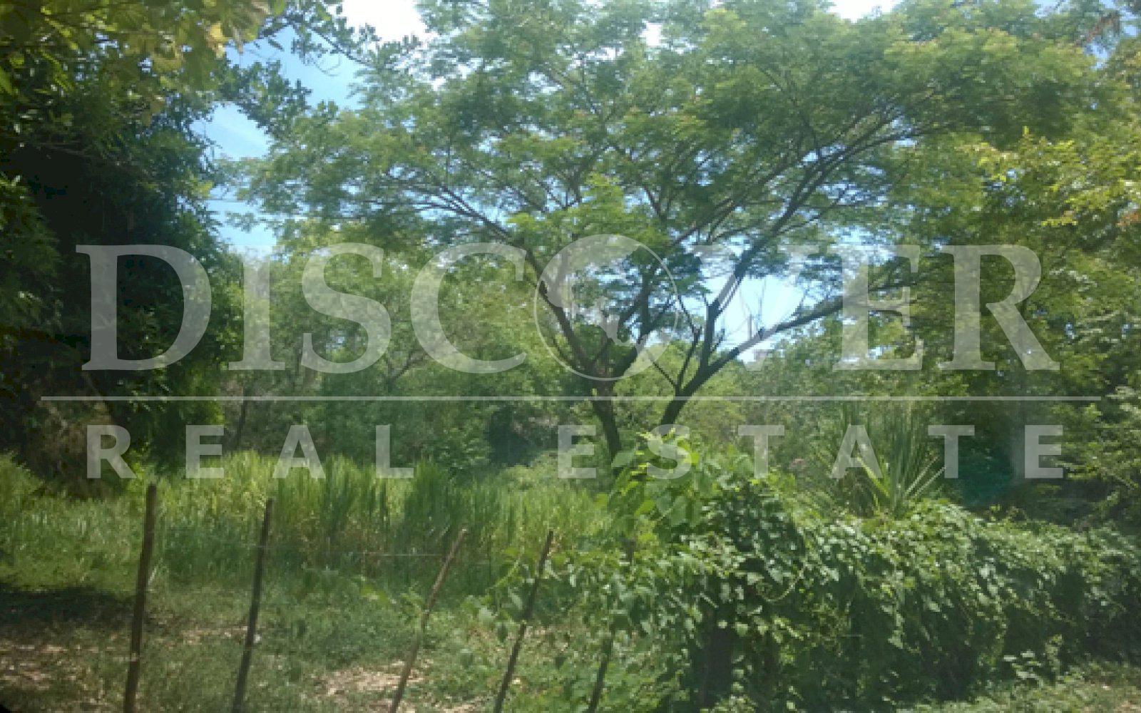 https://images.discovernica.com/propiedad/1600/ID_8996_VENTA.VENDO.TERRENO.COMPRA.COMPRO.GRANADA_5_.jpg