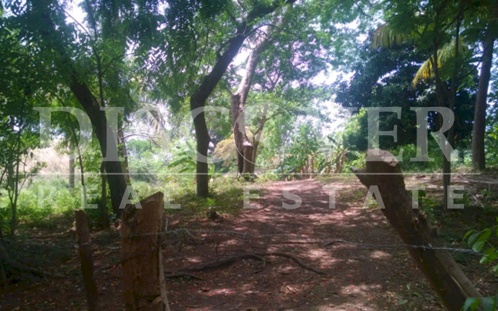https://images.discovernica.com/propiedad/1600/ID_8996_VENTA.VENDO.TERRENO.COMPRA.COMPRO.GRANADA_9_.jpg