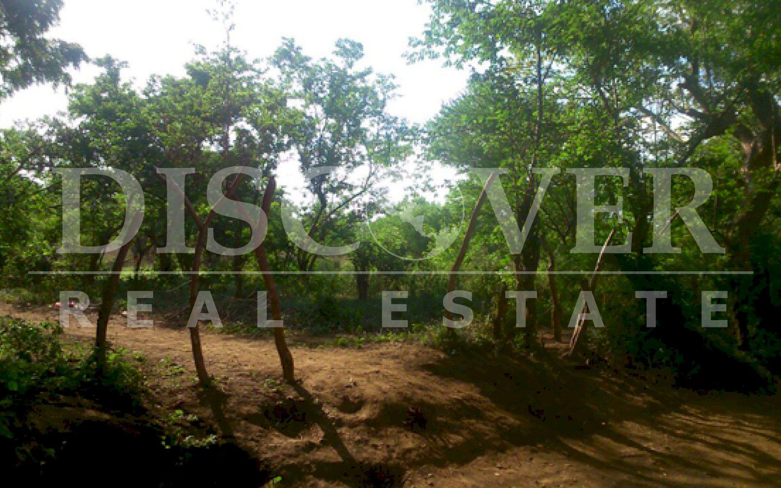 Imagen 3 de la galería