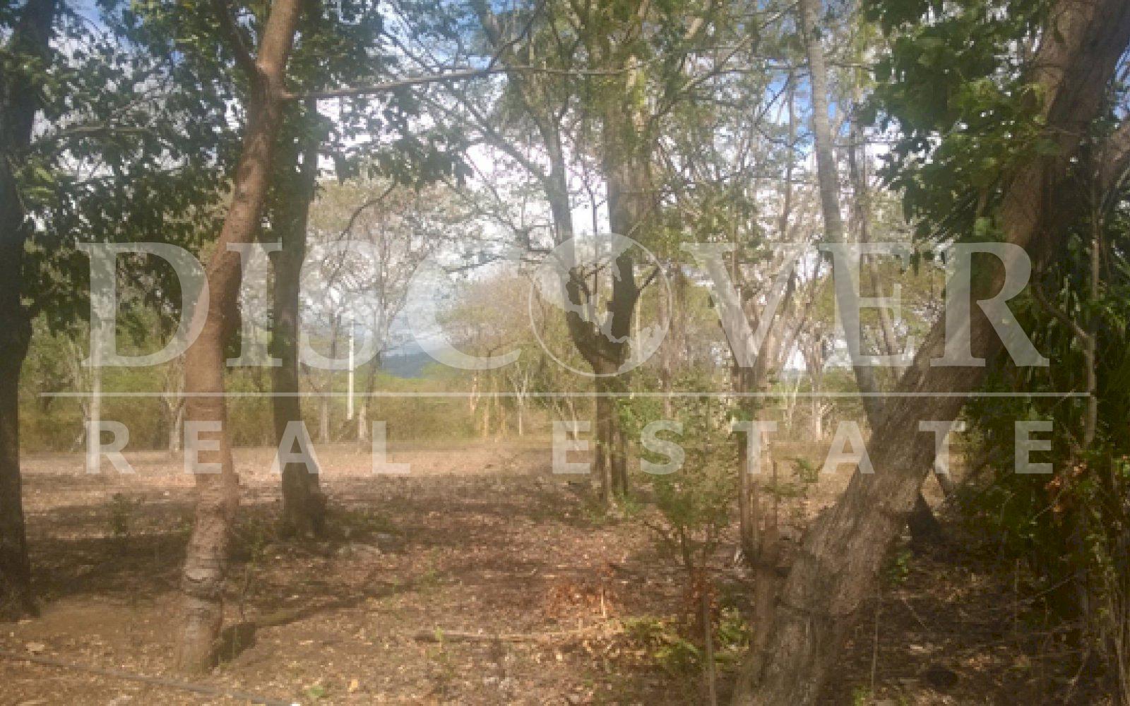 Imagen 4 de la galería