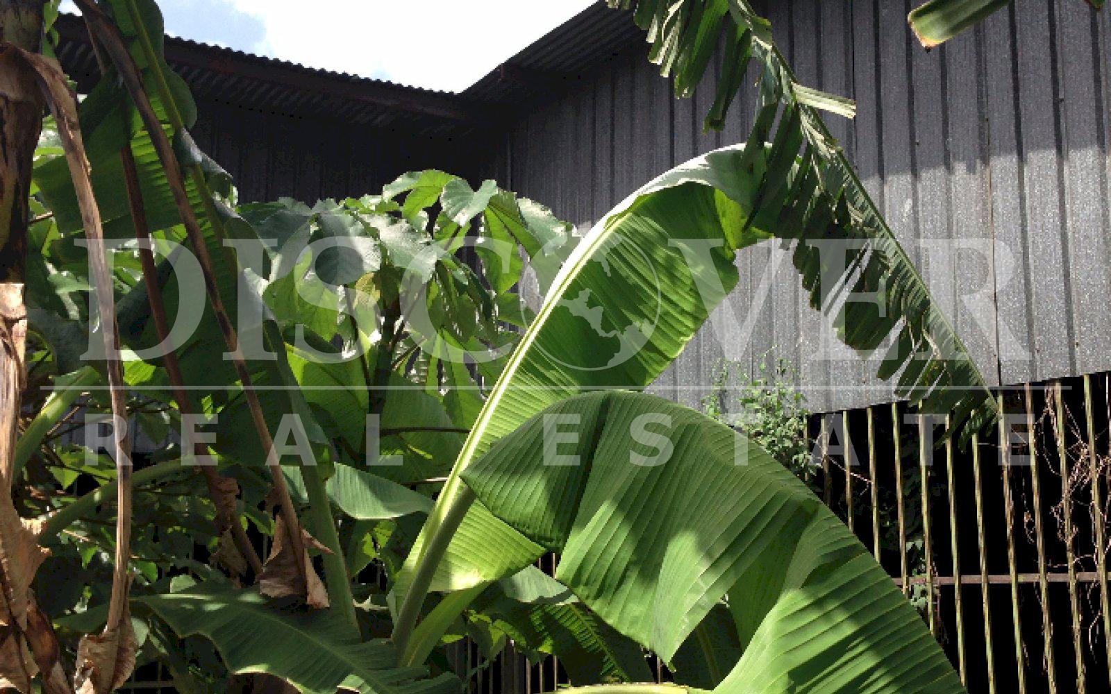https://images.discovernica.com/propiedad/1600/ID_9012_BODEGA.VENTA._MASAYA_3_.JPG