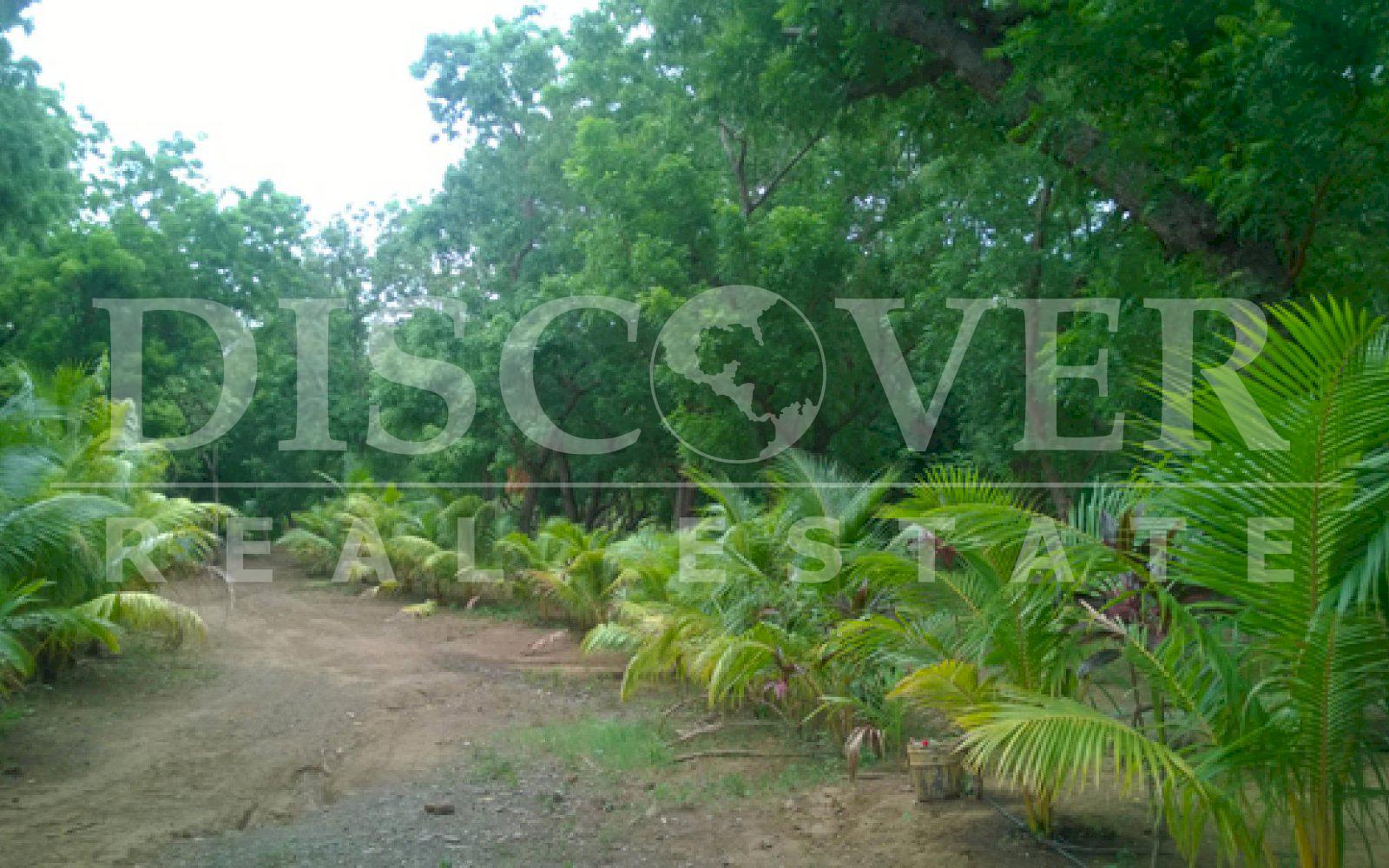 https://images.discovernica.com/propiedad/1600/ID_9017_CASARES.FINCA.VENTA.RIO.SANTA_ROSA_2_.jpg