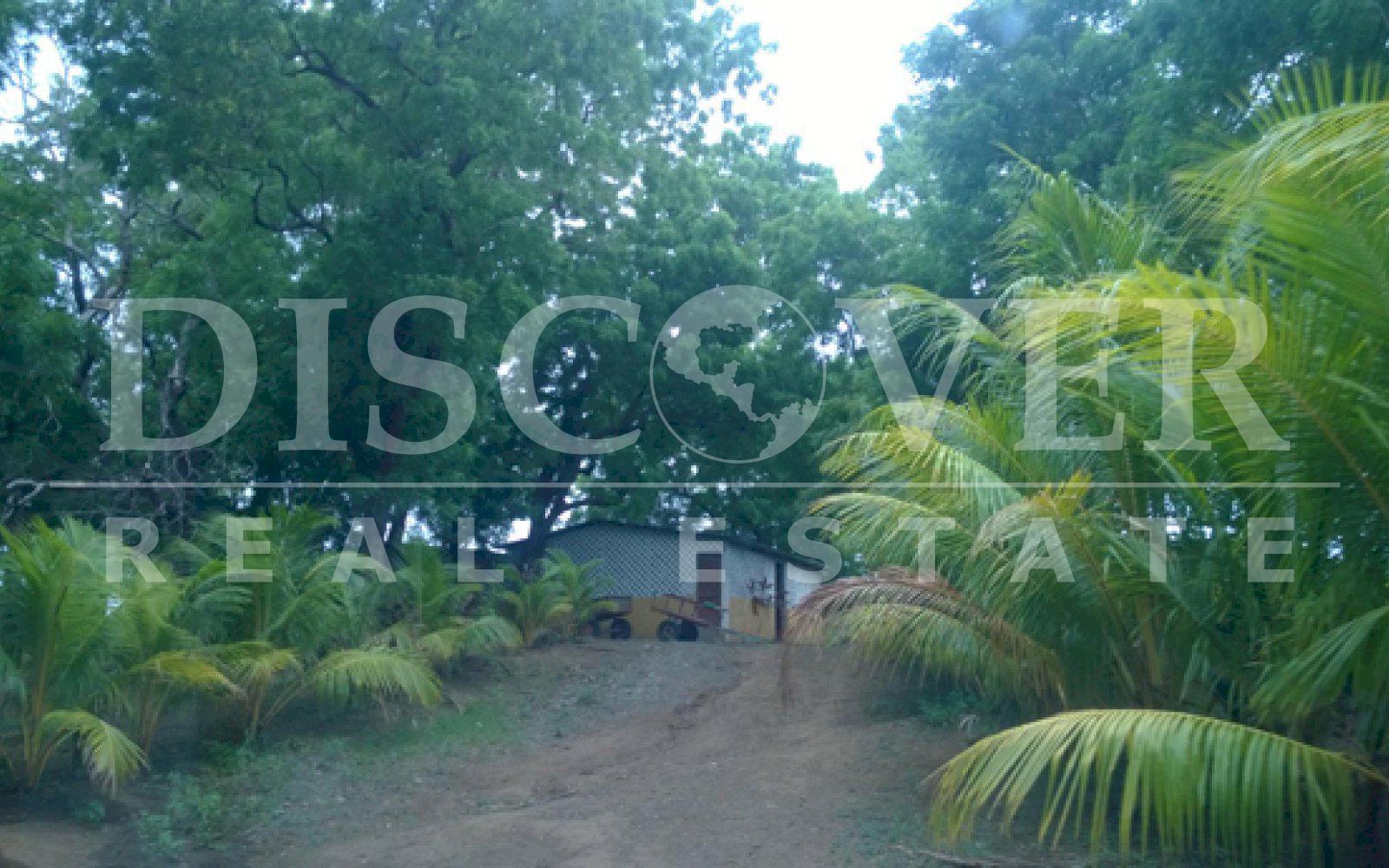 https://images.discovernica.com/propiedad/1600/ID_9017_CASARES.FINCA.VENTA.RIO.SANTA_ROSA_9_.jpg