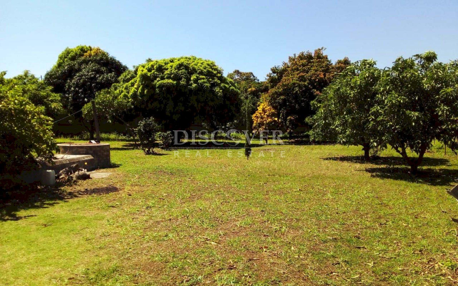 https://images.discovernica.com/propiedad/1600/ID_9026_3.jpg