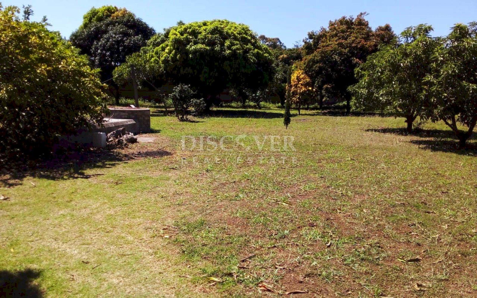 https://images.discovernica.com/propiedad/1600/ID_9026_5.jpg