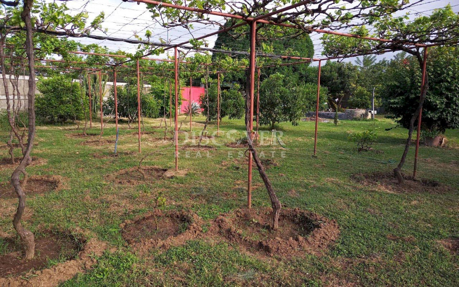 https://images.discovernica.com/propiedad/1600/ID_9026_6.jpg