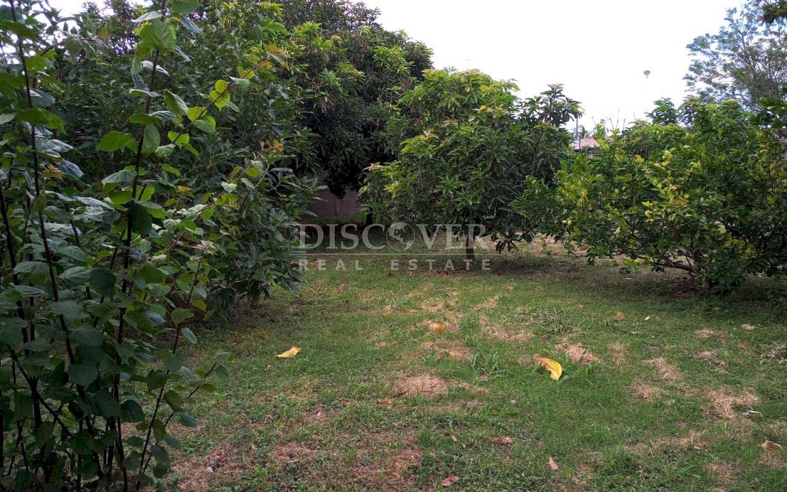 https://images.discovernica.com/propiedad/1600/ID_9026_7.jpg