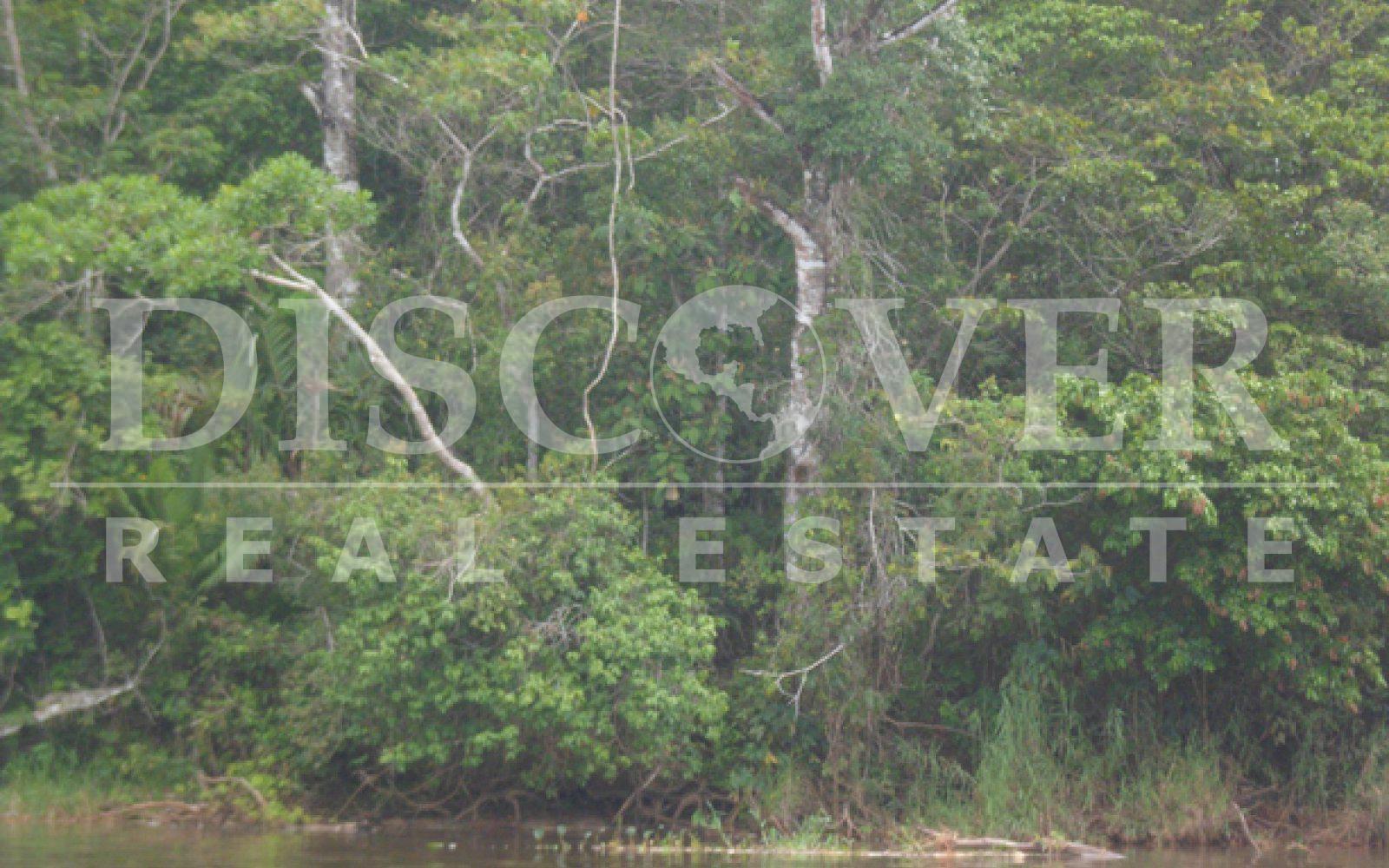 Imagen 8 de la galería