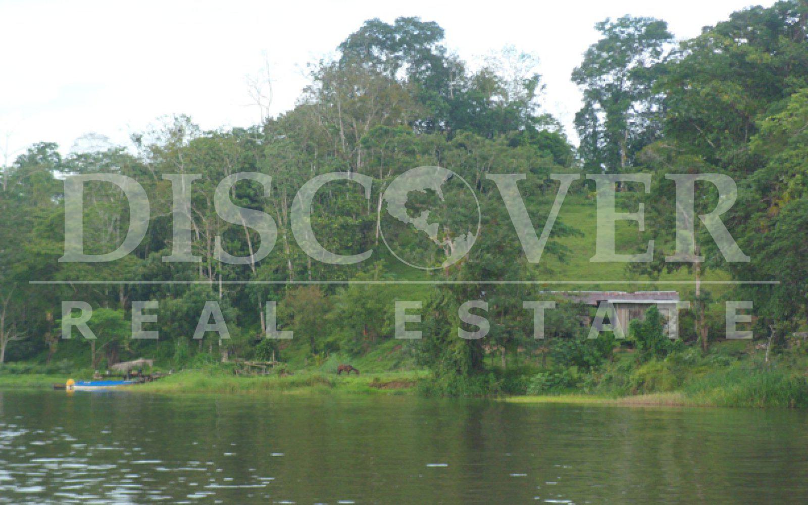 Farm for sale in Boca de Sábalos - Fertile land for crops