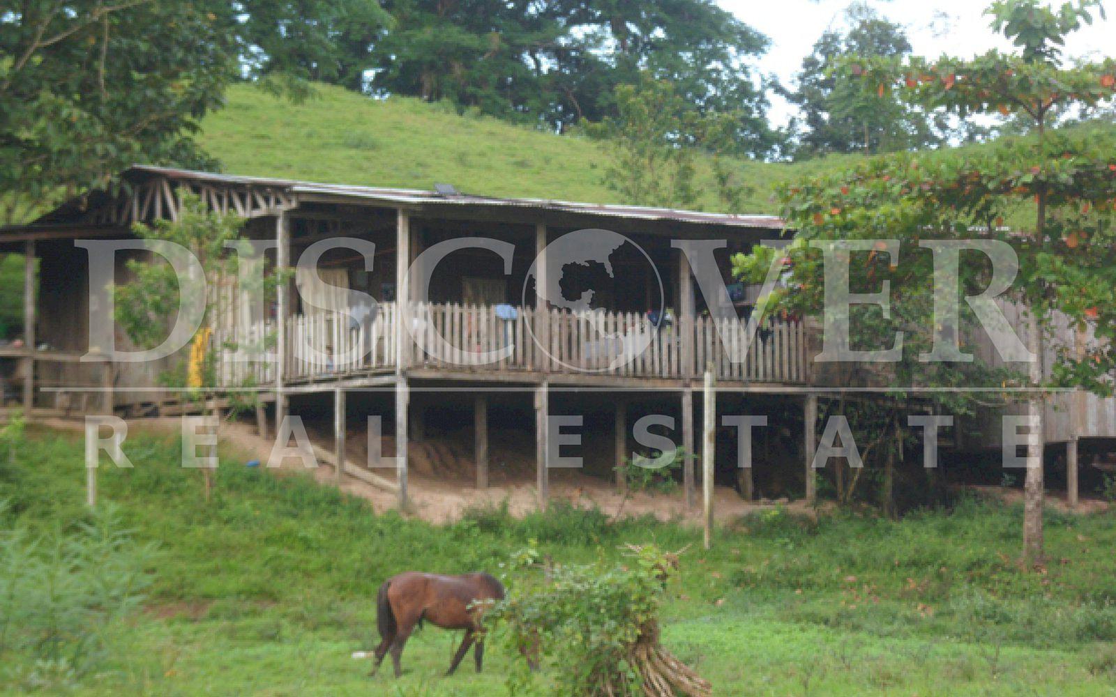 Farm for sale in Boca de Sábalos - Fertile land for crops