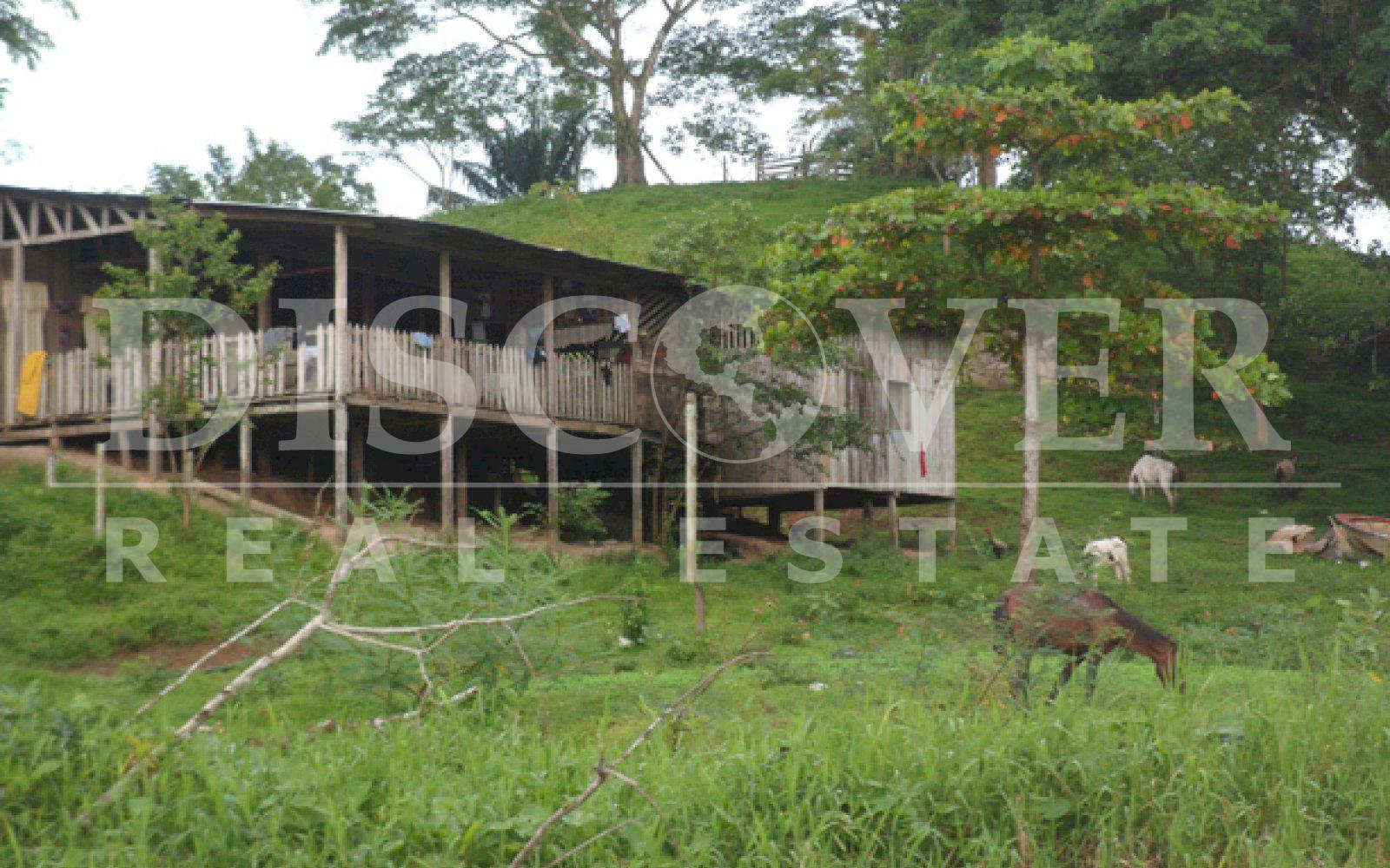 Farm for sale in Boca de Sábalos - Fertile land for crops