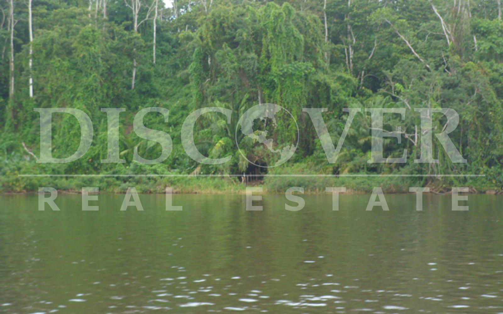 Farm for sale in Boca de Sábalos - Fertile land for crops