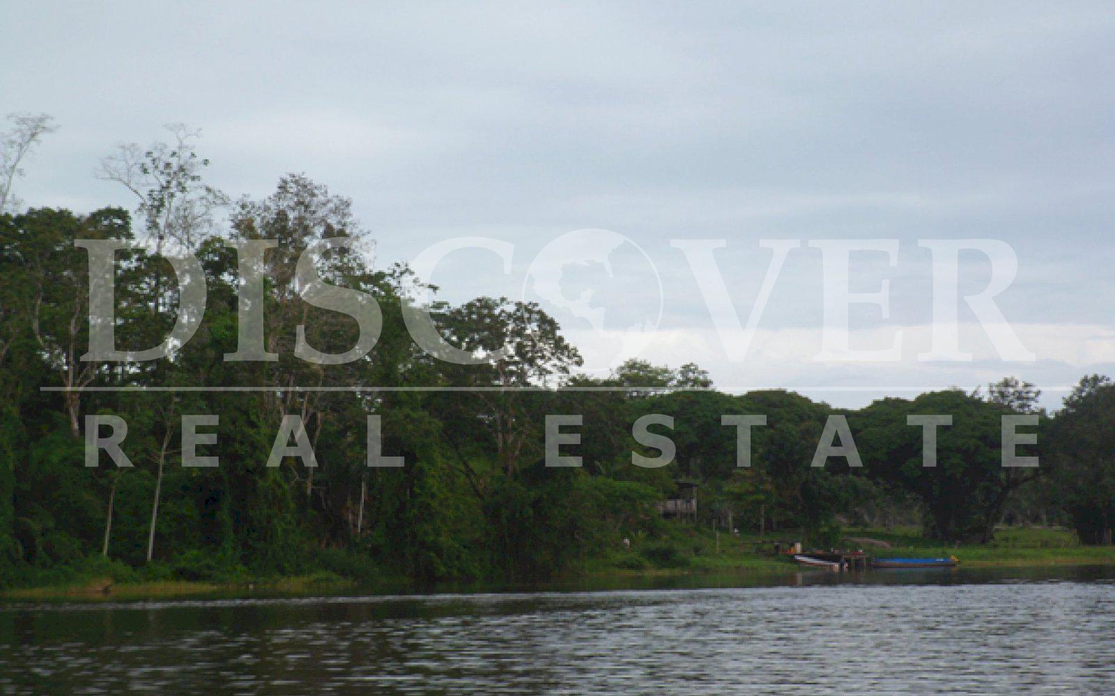 Farm for sale in Boca de Sábalos - Fertile land for crops