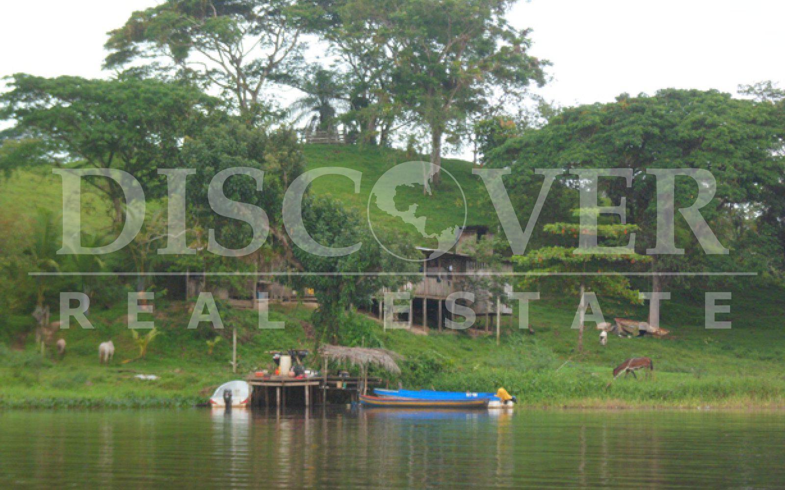 Farm for sale in Boca de Sábalos - Fertile land for crops